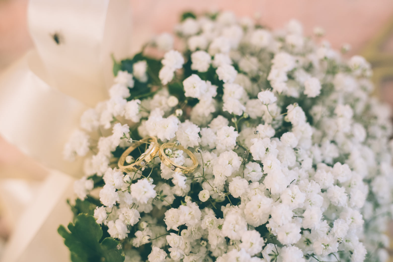 259825205 1239369079894879 7221911519168118701 n