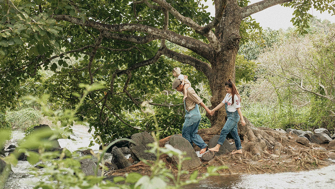 Carrot Studio | Carrot