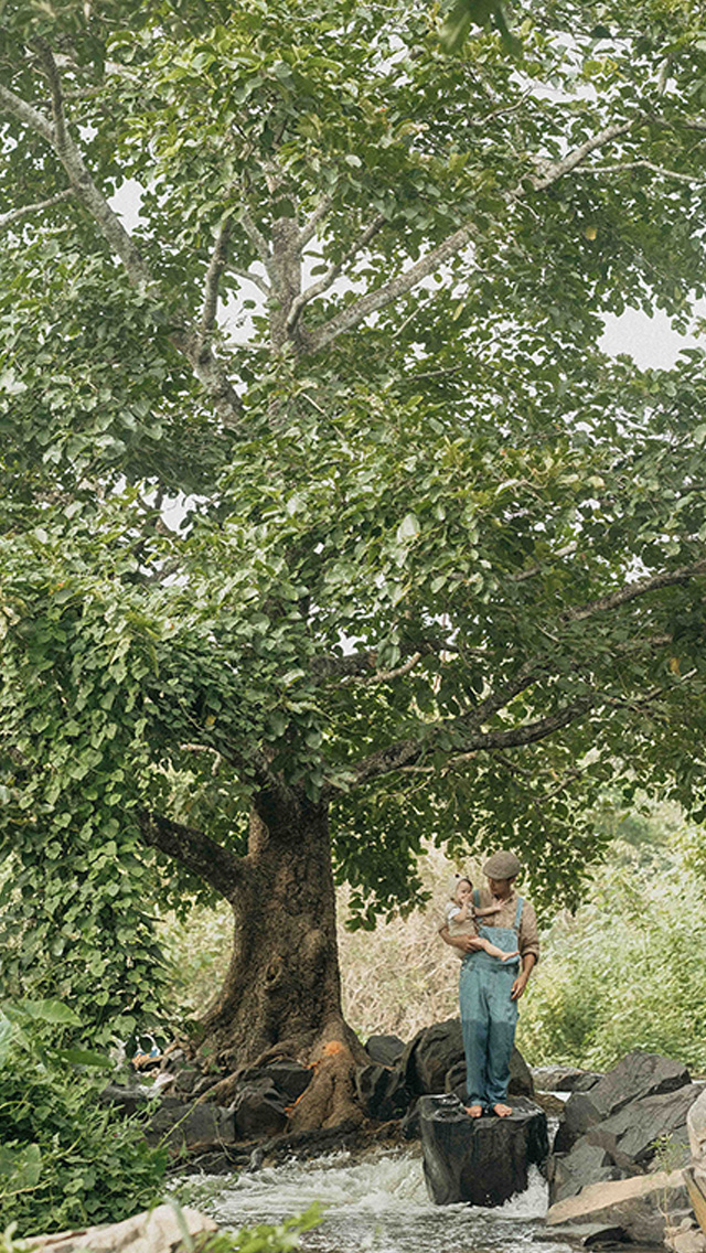 Carrot Studio | Carrot