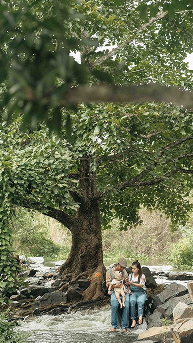 Carrot Studio | Carrot