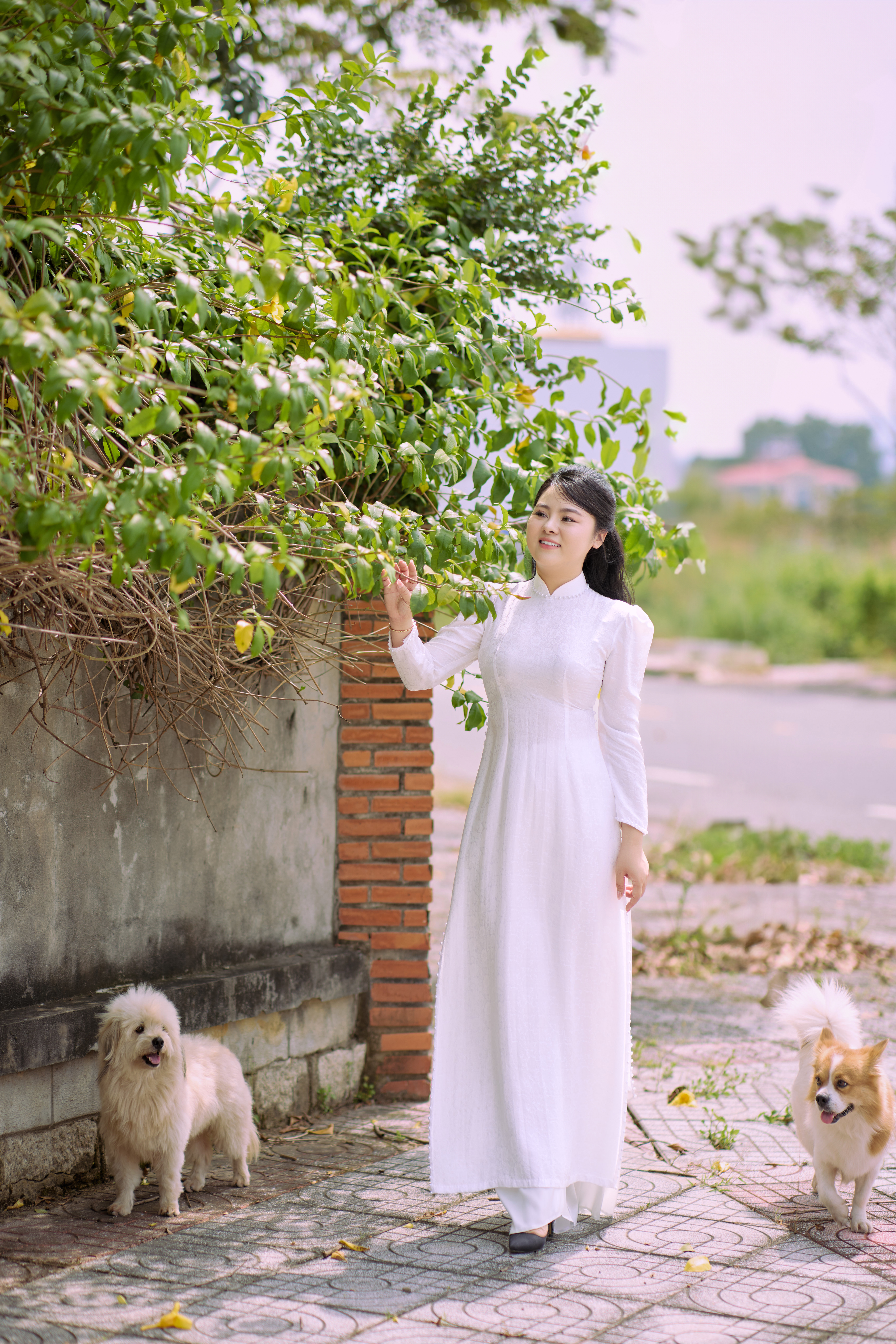 GAING ANH0374
