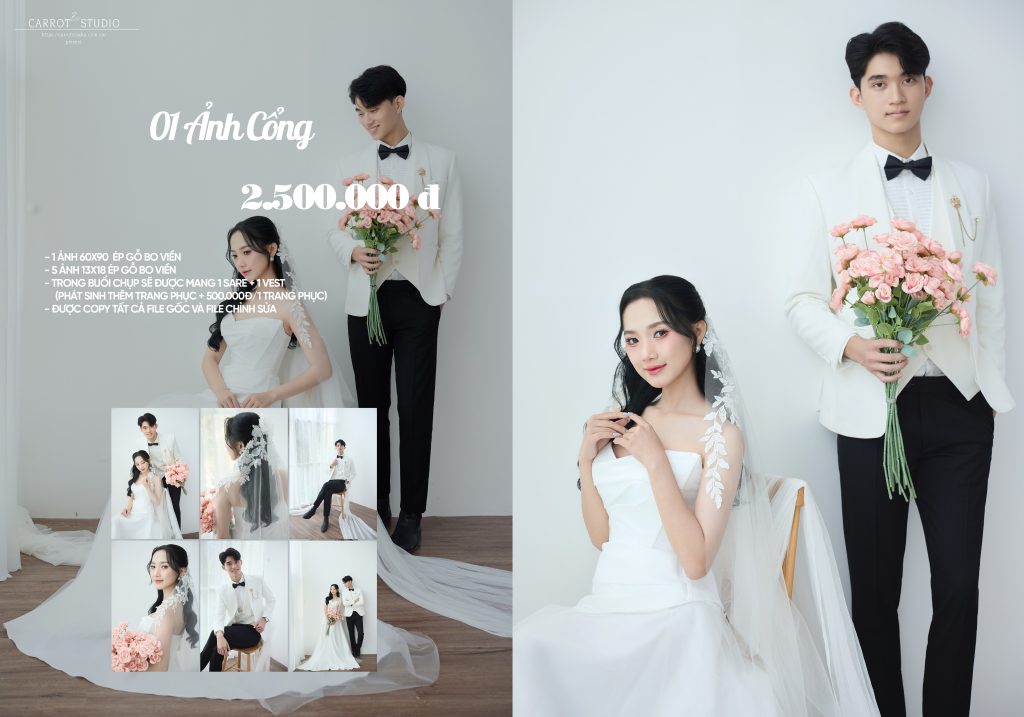 hinh cong 01 copy