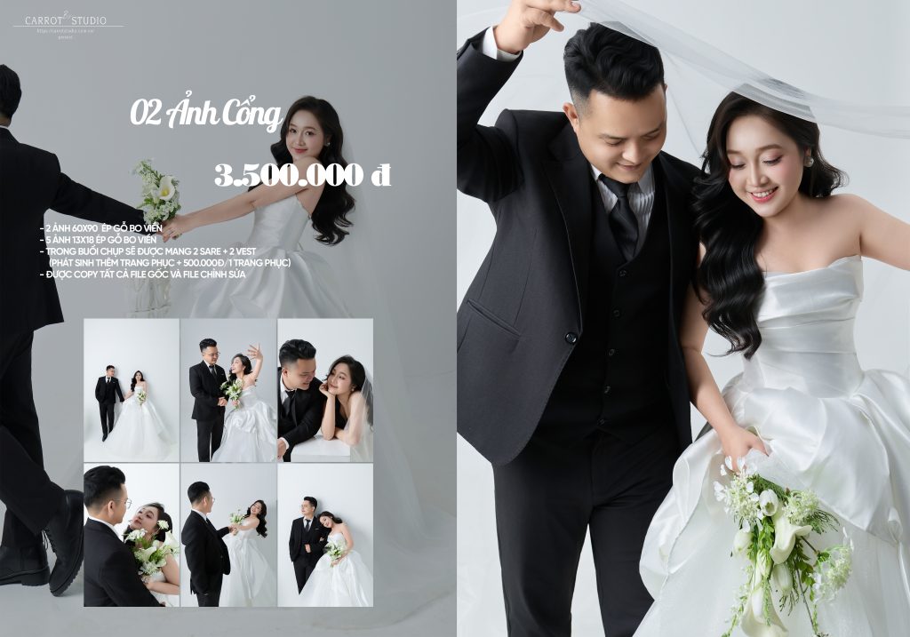 hinh cong 02 Copy copy