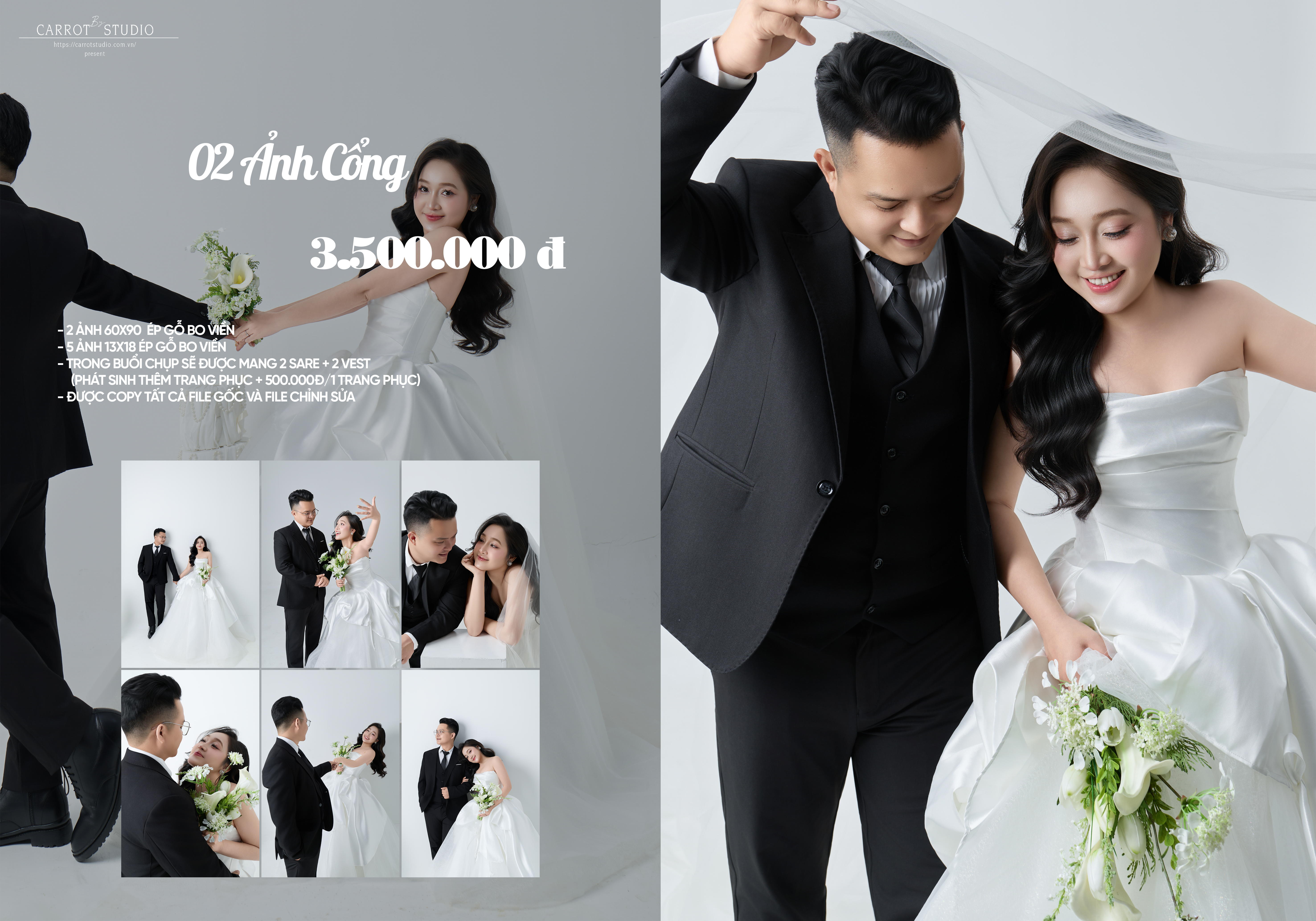 hinh cong 02 Copy copy